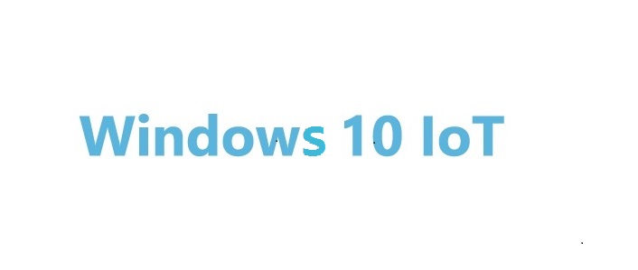 Windows 10 IoT Enterprise 2019 LTSC HighEnd (Virt Only Non-QOS) (MS EI No. MUT-00012)