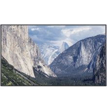 55" Full HD Digital Signage Display with Touch